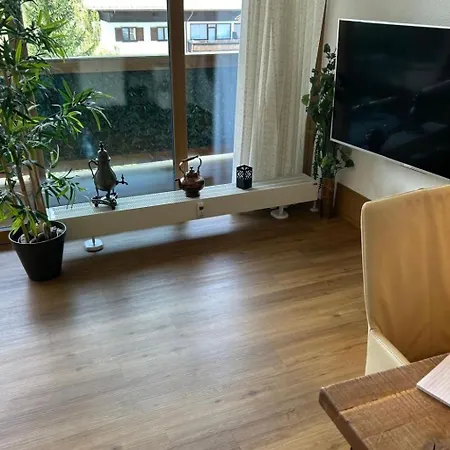 Apartment Penthouse Overview By Krone By Interhome *