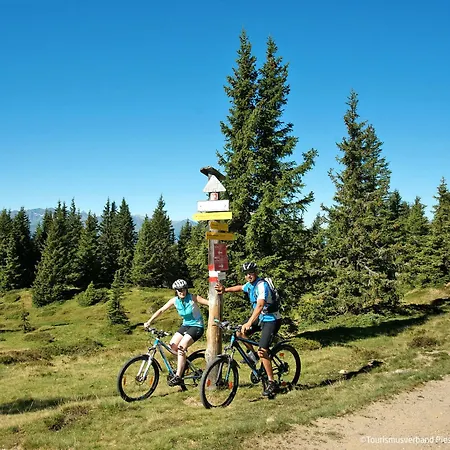 Penthouse Overview By Krone By Interhome Διαμέρισμα